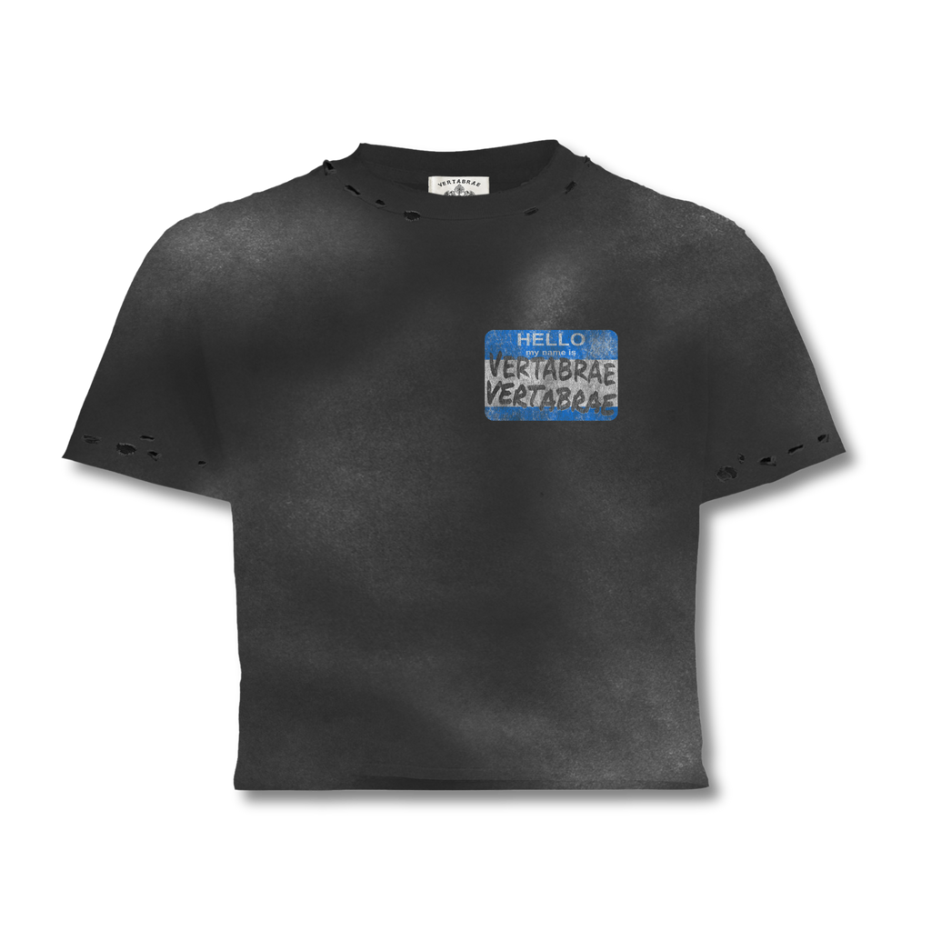 Hello America Tee